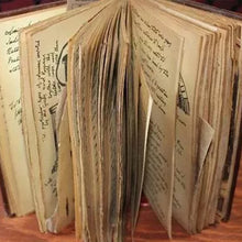 Load image into Gallery viewer, The Grail Diary - Fan made prop replica
