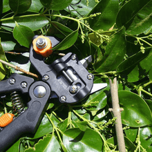 Load image into Gallery viewer, Domom® Professional Garden Grafting Tool Kit
