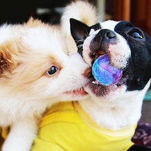 Load image into Gallery viewer, Dog Rubber Molar Toy
