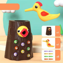 Load image into Gallery viewer, Worm Feeding Toy
