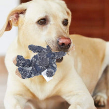 Load image into Gallery viewer, Indestructible Robust Bear
