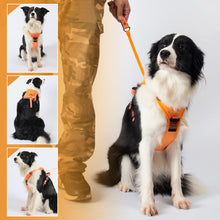 Load image into Gallery viewer, All-in-One Dog Harness and Retractable Leash Set
