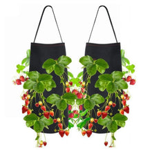 Load image into Gallery viewer, Hanging Strawberry Planting Bag
