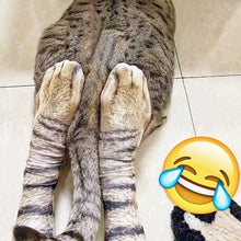 Load image into Gallery viewer, 3D Print Novelty Animal Paw Socks
