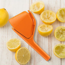 Load image into Gallery viewer, Manual Juicer
