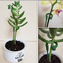 Load image into Gallery viewer, Plant Support Stake
