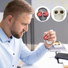 Load image into Gallery viewer, Skull Monster Gothic Fidget Toy
