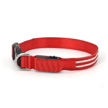 Load image into Gallery viewer, Dog LED Collars
