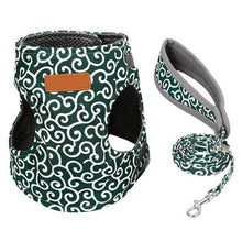 Load image into Gallery viewer, Cat Vest Harness and Leash Set to Outdoor Walking
