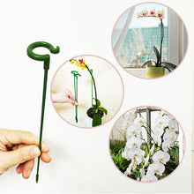 Load image into Gallery viewer, Plant Support Stake

