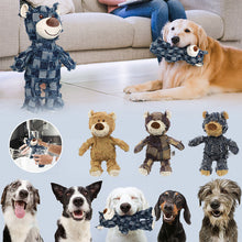 Load image into Gallery viewer, Indestructible Robust Bear
