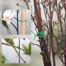 Load image into Gallery viewer, Green Plant Ties
