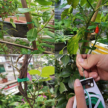 Load image into Gallery viewer, Green Plant Ties
