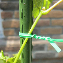 Load image into Gallery viewer, Green Plant Ties
