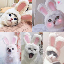 Load image into Gallery viewer, Cat Bunny Ears🔥
