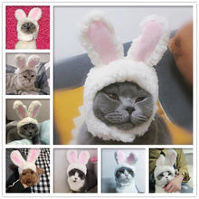 Load image into Gallery viewer, Cat Bunny Ears🔥
