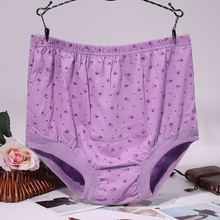 Load image into Gallery viewer, New High-Waist Ladies Leak Proof Panties
