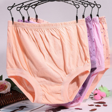 Load image into Gallery viewer, New High-Waist Ladies Leak Proof Panties
