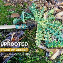 Load image into Gallery viewer, Standing Weed Puller
