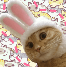 Load image into Gallery viewer, Cat Bunny Ears🔥
