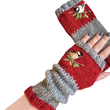 Load image into Gallery viewer, Warm Patchwork Embroidered Gloves
