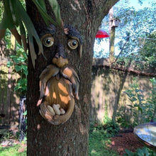 Load image into Gallery viewer, Unique Bird Feeders
