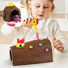 Load image into Gallery viewer, Worm Feeding Toy
