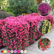 Load image into Gallery viewer, Vivid Artificial Hanging Orchid Bunch
