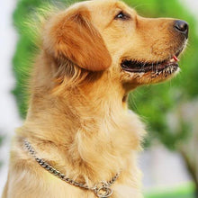 Load image into Gallery viewer, Dog Training Collars Snake P Choke Metal Slip Chain
