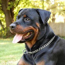 Load image into Gallery viewer, Dog Training Collars Snake P Choke Metal Slip Chain
